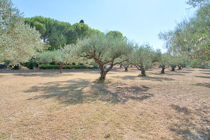Maison de ville Ã  Fonteta - Acheter et vendre