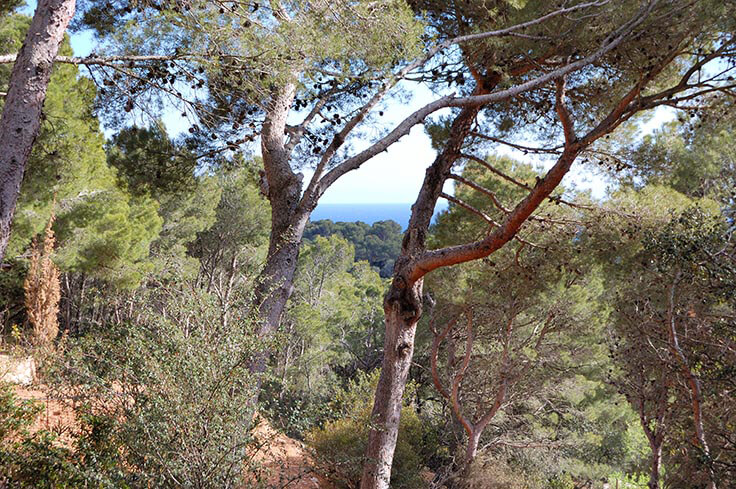Parcela con Vistas al mar y jardín en Tamariu - Compra - Venta