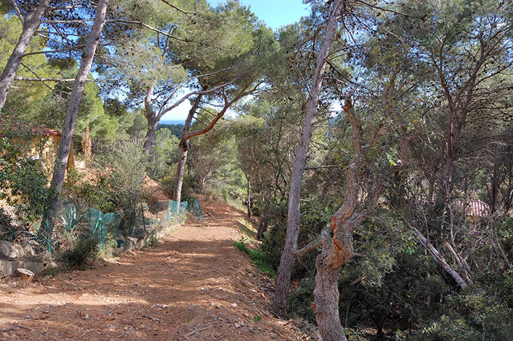 Parcela con Vistas al mar y jardín en Tamariu - Compra - Venta