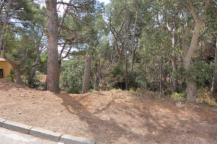 Parcela con Vistas al mar y jardín en Tamariu - Compra - Venta