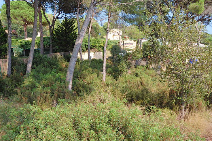 Parcela en Tamariu - Compra - Venta