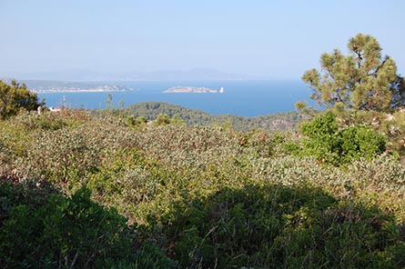 Parcela con jardín en Begur - Compra - Venta