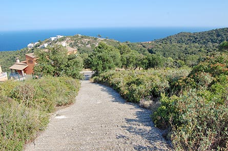 Parcela con jardín en Begur - Compra - Venta