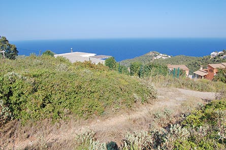 Parcela con jardín en Begur - Compra - Venta