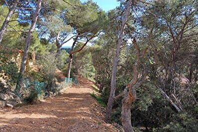 Parcel.la amb Vistes al mar i jardí a Tamariu - Compra - Venda