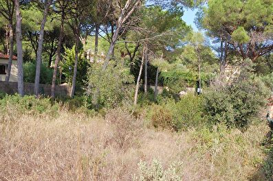 Parcela en Tamariu - Compra - Venta