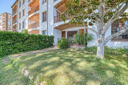 REF: . APA: Catalunya 3