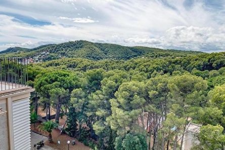 REF: . APA: La Casita