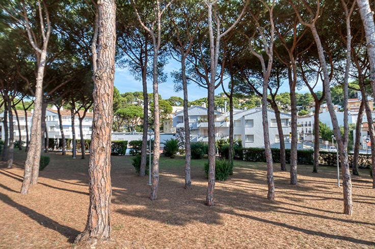 Apartament 3 dormitoris amb Piscina, Pàrquing i jardí a Tamariu - Lloguer Temporada