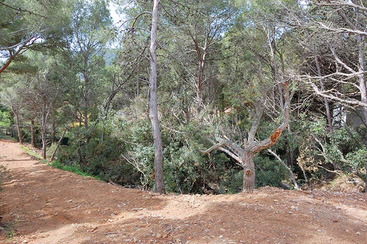 Parcel.la amb Vistes al mar i jardí a Tamariu - Compra - Venda