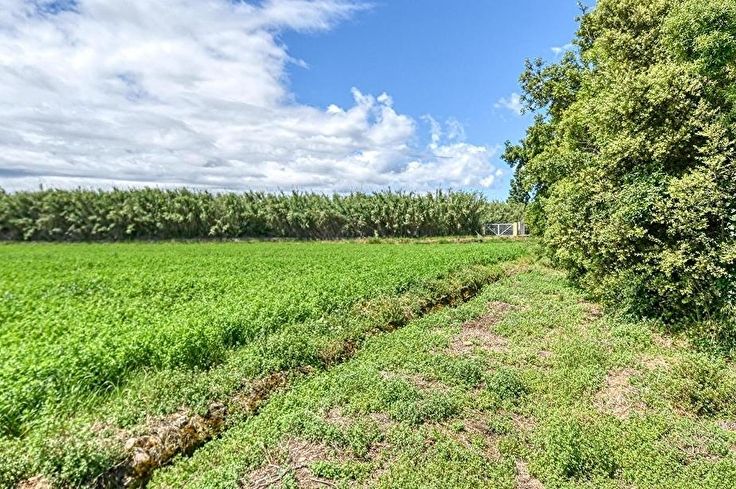 Casa individual 3 dormitoris a Palafrugell - Compra - Venda