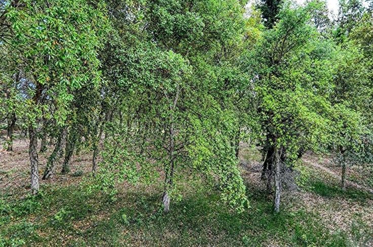 Casa individual 3 dormitoris a Palafrugell - Compra - Venda