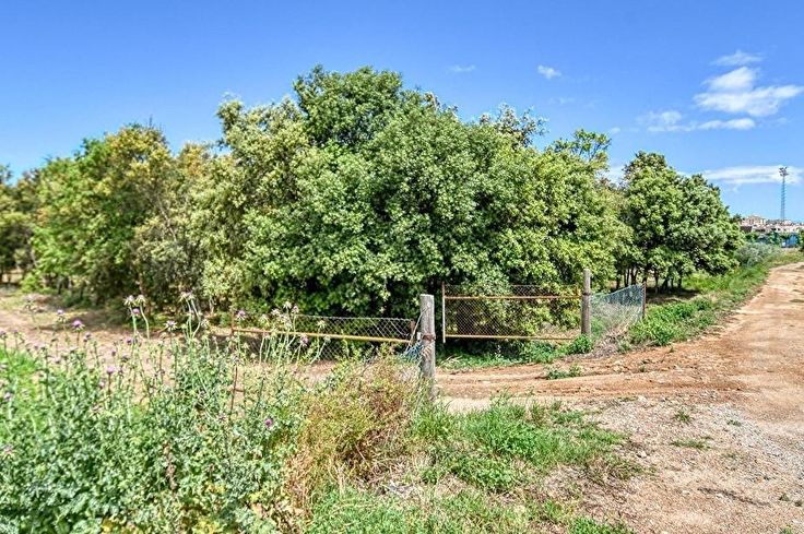 Casa individual 3 dormitoris a Palafrugell - Compra - Venda