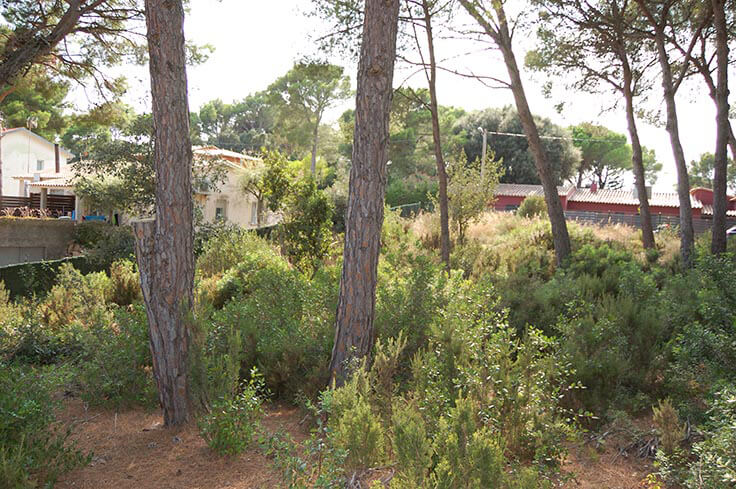 Parcel.la a Tamariu - Compra - Venda