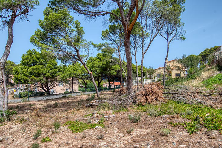 Colis à Begur - Acheter - vendre