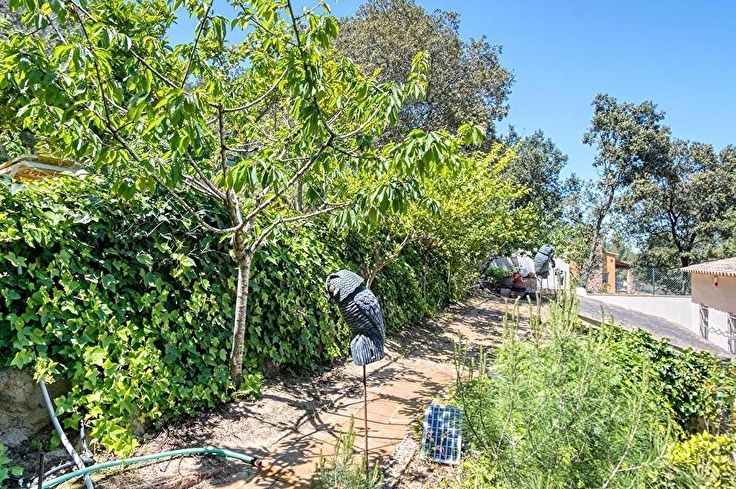 Maison individuelle 5 chambres avec jardin à Begur - Acheter - vendre