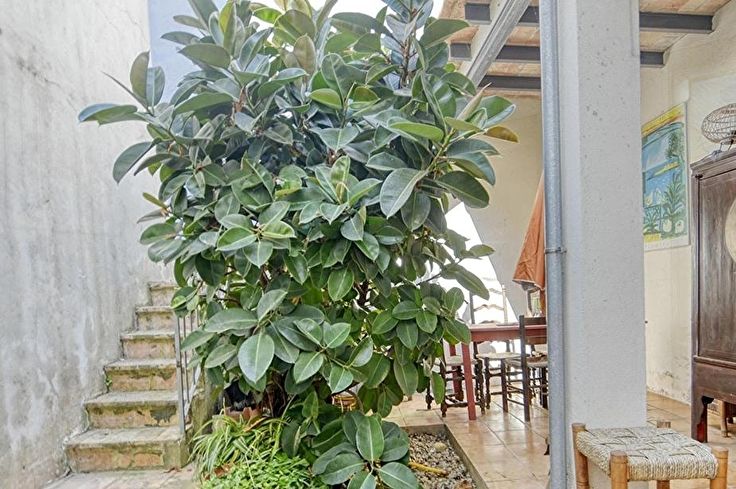 Maison de ville 3 chambres à Palafrugell - Acheter - vendre