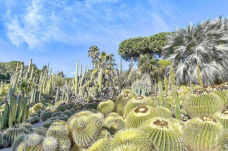 Maison de campagne 3 chambres avec Vues à la mer et Air conditionné à Esclanyà - Acheter - vendre