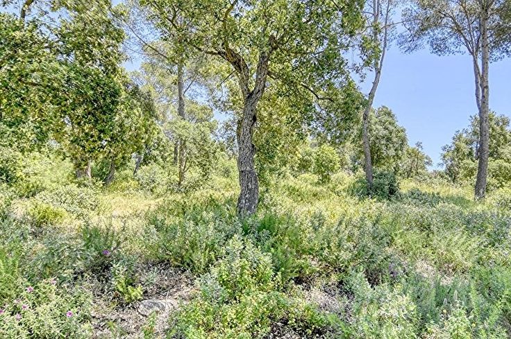 Rustic property in Begur - Buy - For sale