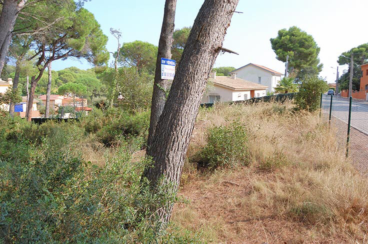 Parcel in Tamariu - Buy - For sale