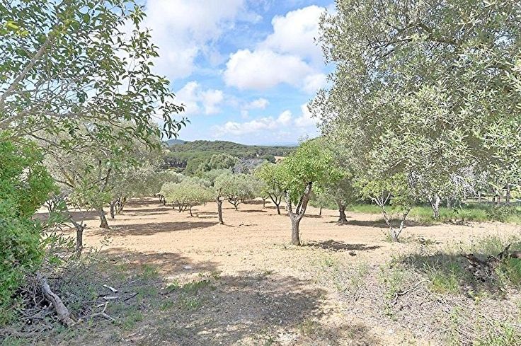 Barrack 1 bedroom in Palafrugell - Buy - For sale