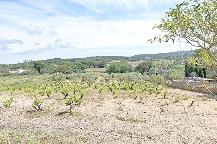 Barrack 1 bedroom in Palafrugell - Buy - For sale