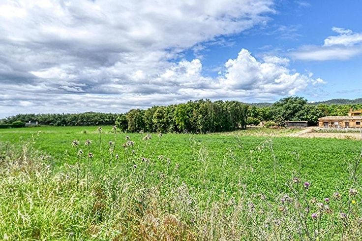 Individuelles Haus 3 Schlafzimmer auf Palafrugell - Kaufen - verkaufen