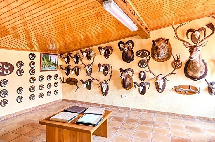 Individuelles Haus 3 Schlafzimmer auf Palafrugell - Kaufen - verkaufen