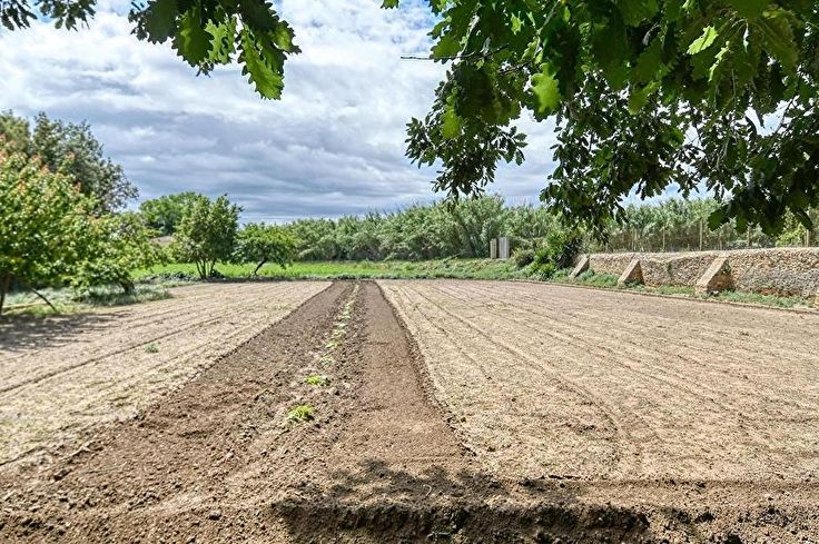 Individuelles Haus 3 Schlafzimmer auf Palafrugell - Kaufen - verkaufen