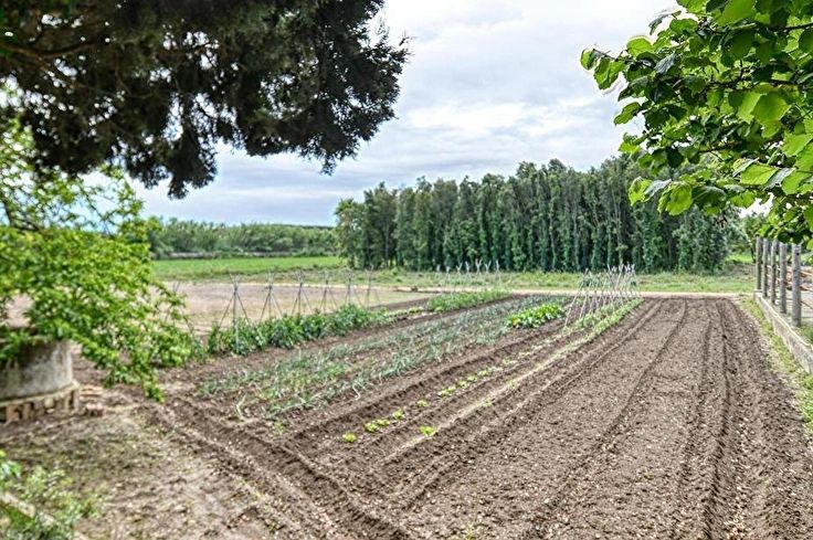 Individuelles Haus 3 Schlafzimmer auf Palafrugell - Kaufen - verkaufen
