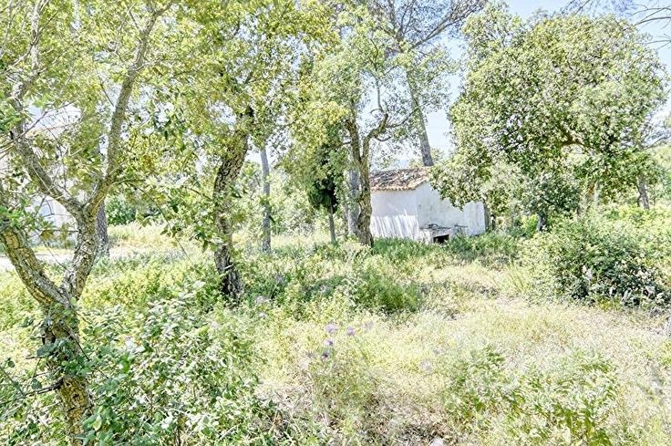 Rustikales Anwesen auf Begur - Kaufen - verkaufen